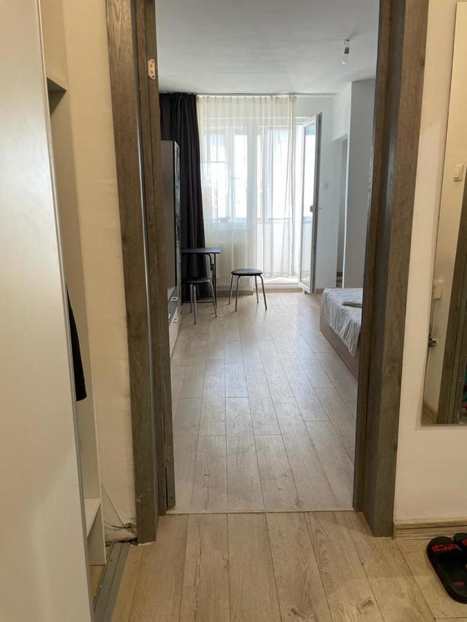 Bega Cirumvalatiunii One Room Apartment- 4 Timisoara Ngoại thất bức ảnh